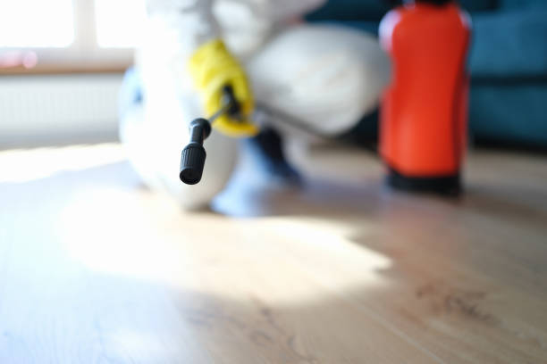 Best Attic Mold Removal  in Allendale, CA