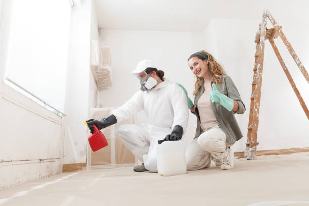 Best Asbestos and Lead Testing During Mold Inspection  in Allendale, CA